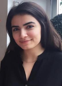 cerenkılınç