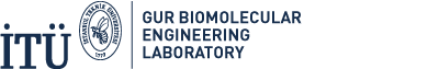 GUR BIOMOLECULAR ENGINEERING LAB